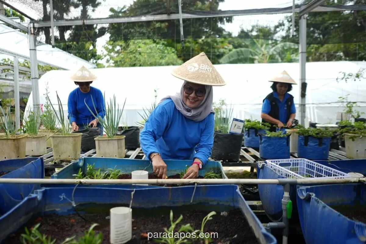 BRI Dorong Ketahanan Pangan Perkotaan Lewat Program BRInita