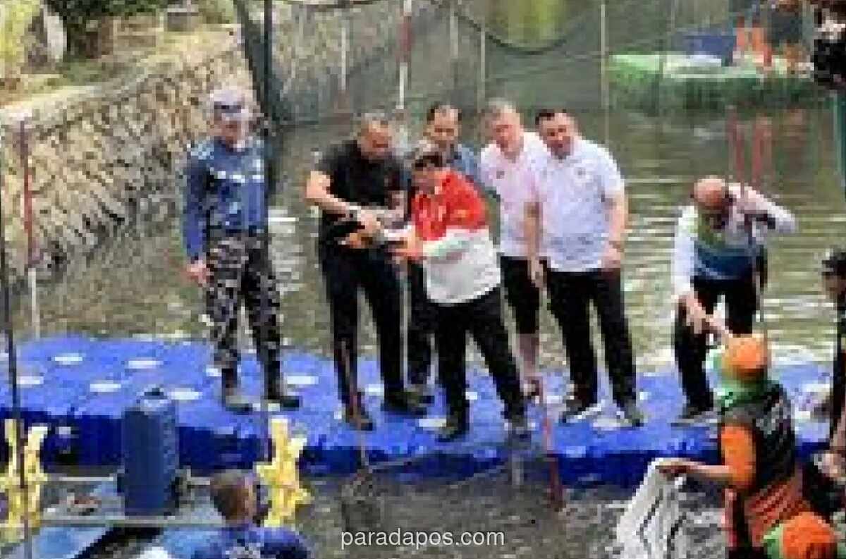 Pemprov DKI Tangkap Lebih dari Satu Ton Ikan Sapu-sapu dalam Operasi Serentak