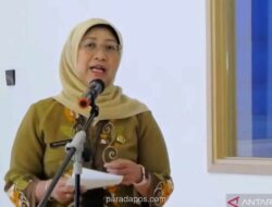 Pemprov DKI Targetkan Tambah RPTRA, Capai 324 Unit Lampaui Target Awal