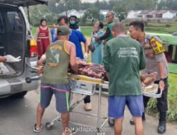 Kecelakaan Elf di Tuban Saat Angkut Rombongan Takziah, Satu Tewas dan Belasan Luka
