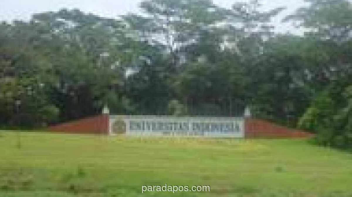 UI Selidiki Dugaan Pelecehan Seksual oleh Oknum Mahasiswa Fakultas Hukum