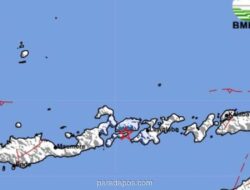 Gempa M 3,8 Guncang Larantuka, Belum Ada Laporan Kerusakan