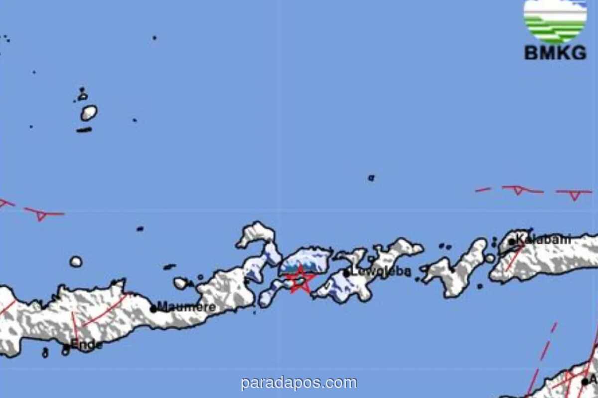 Gempa M 3,8 Guncang Larantuka, Belum Ada Laporan Kerusakan