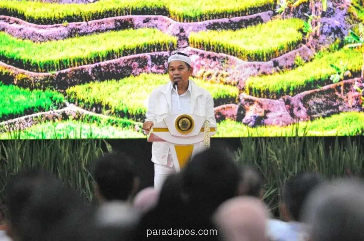 Gubernur Jabar Akan Temui Menteri PANRB Bahas Nasib 3.823 Honorer yang Tak Dibayar