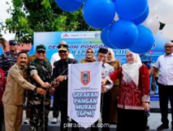 Kalimantan Selatan Raih Peringkat Pertama Indeks Ketahanan Pangan Nasional 2025