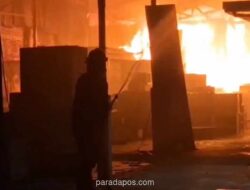 Gudang Kayu di Sidoarjo Ludes Terbakar, Diduga Akibat Korsleting