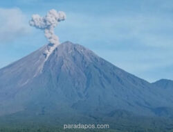 Gunung Semeru Erupsi Tujuh Kali, Status Siaga dan Zona Bahaya Diperketat