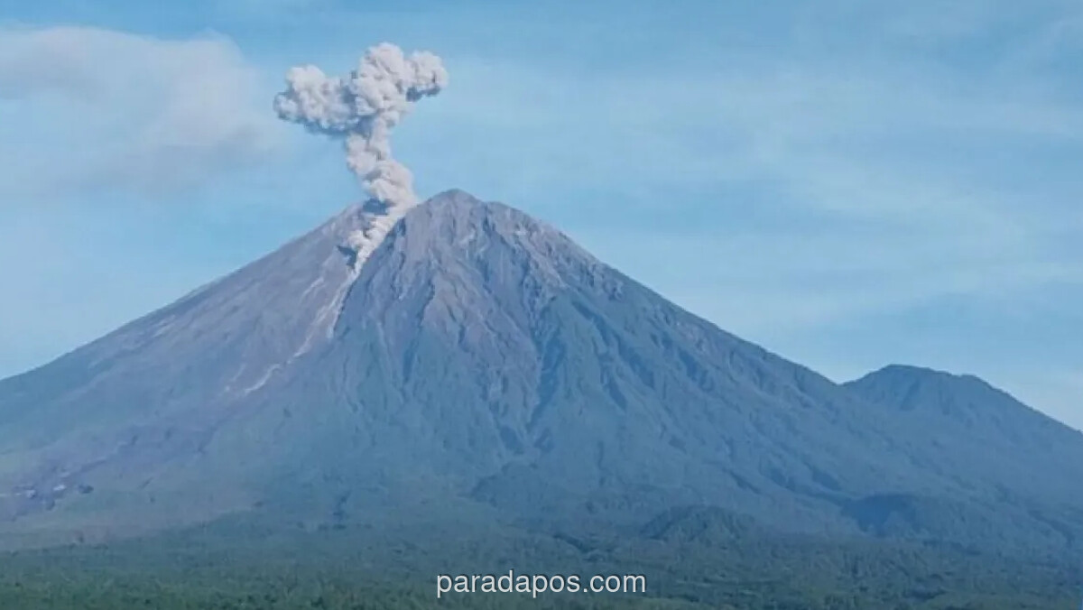 Gunung Semeru Erupsi Tujuh Kali, Status Siaga dan Zona Bahaya Diperketat