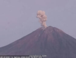 Gunung Semeru Erupsi, Kolom Abu Membumbung 1.000 Meter