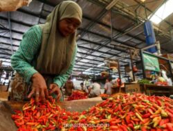 Harga Cabai Meroket di Sumsel, Beras Justru Stabil