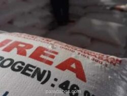 Harga Pupuk Urea Global Melonjak 86% Didorong Biaya Gas Alam dan Gangguan di Selat Hormuz