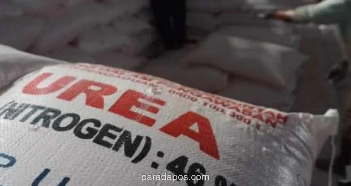 Harga Pupuk Urea Global Melonjak 86% Didorong Biaya Gas Alam dan Gangguan di Selat Hormuz