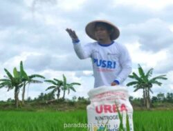 Pemerintah Tunda Suntik Mati Pabrik Pupuk Tua, Manfaatkan Peluang Ekspor di Tengah Lonjakan Harga Global