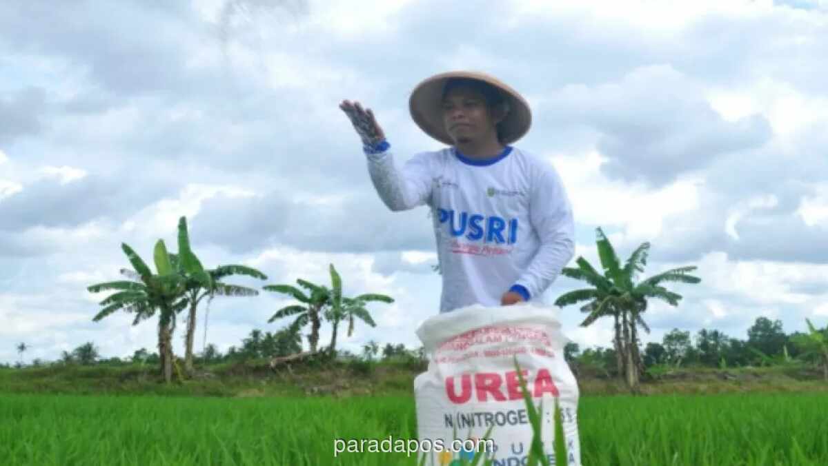Pemerintah Tunda Suntik Mati Pabrik Pupuk Tua, Manfaatkan Peluang Ekspor di Tengah Lonjakan Harga Global