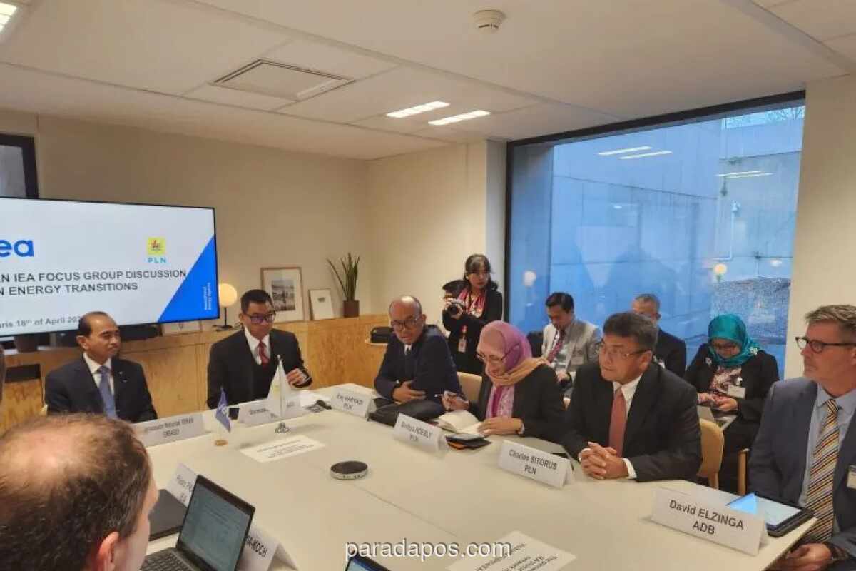 IEA Dukung Inisiatif Pemerintah Indonesia Dorong Hemat Energi