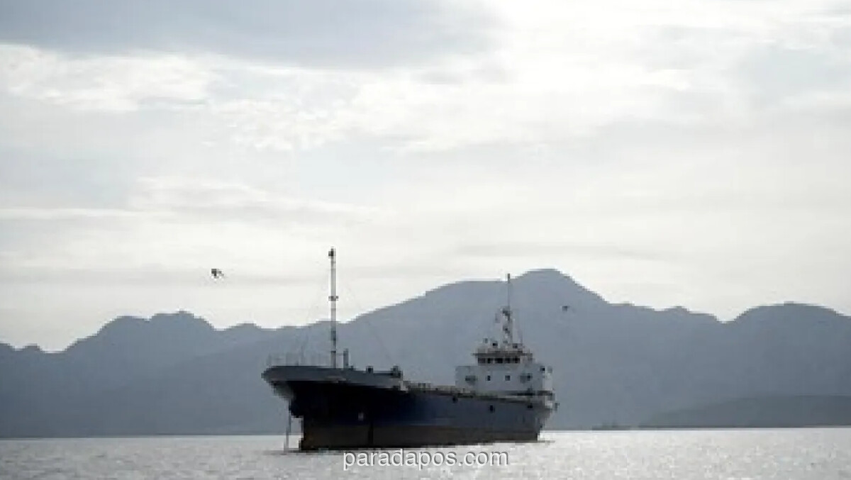 India Protes Iran Usai Dua Kapal Dagangnya Ditembak di Selat Hormuz