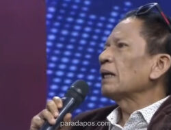 Pengamat Soroti Logo Babi di Acara Maulid sebagai Intrik Politik