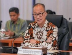 Industri Pulp dan Kertas Sumbang Rp 127 Triliun Ekspor dan Serap 1,4 Juta Pekerja