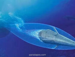 Iran Ancam Luncurkan Torpedo Supercepat Hoot di Tengah Kebuntuan Negosiasi dengan AS