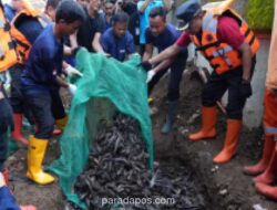 Jakarta Timur Amankan 3,09 Ton Ikan Sapu-sapu dalam Operasi Pengendalian Spesies Invasif