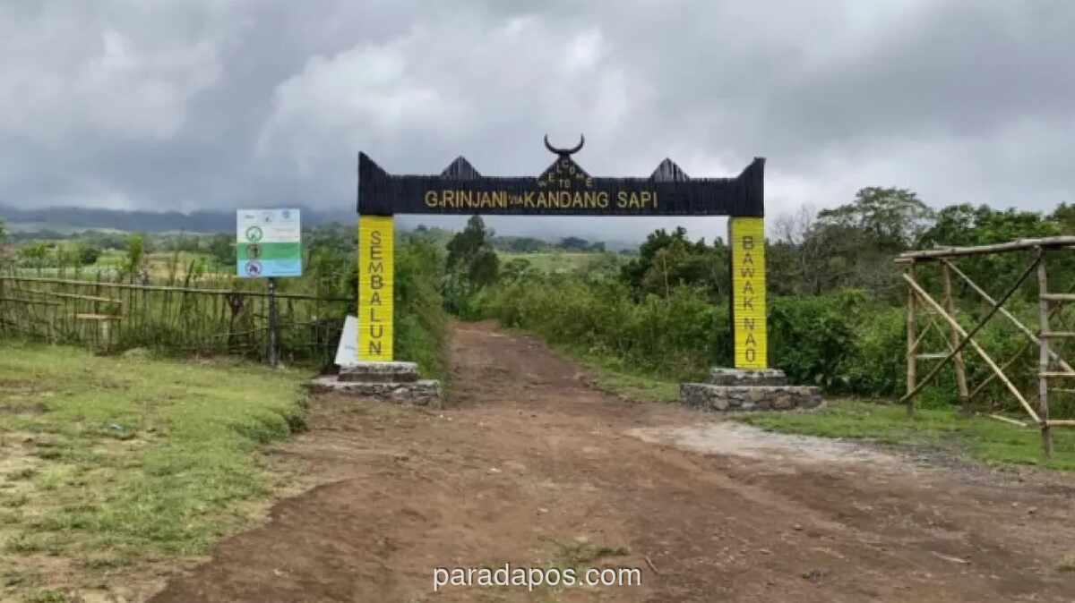 Jalur Pendakian Gunung Rinjani Dinyatakan Aman dan Dibuka Kembali