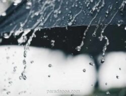 BMKG Prediksi Hujan Lebat di Jayapura, Warga Diimbau Waspada Banjir dan Longsor