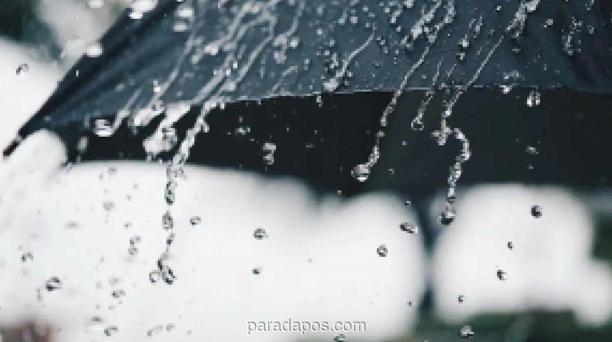 BMKG Prediksi Hujan Lebat di Jayapura, Warga Diimbau Waspada Banjir dan Longsor