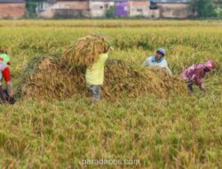 Pemerintah Siapkan BBM Subsidi Rp6.800 per Liter untuk Petani Antisipasi Dampak Kenaikan Harga