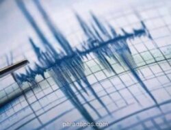 Gempa Magnitudo 3,3 Guncang Bitung Dini Hari, Kedalaman Hanya 3 Kilometer