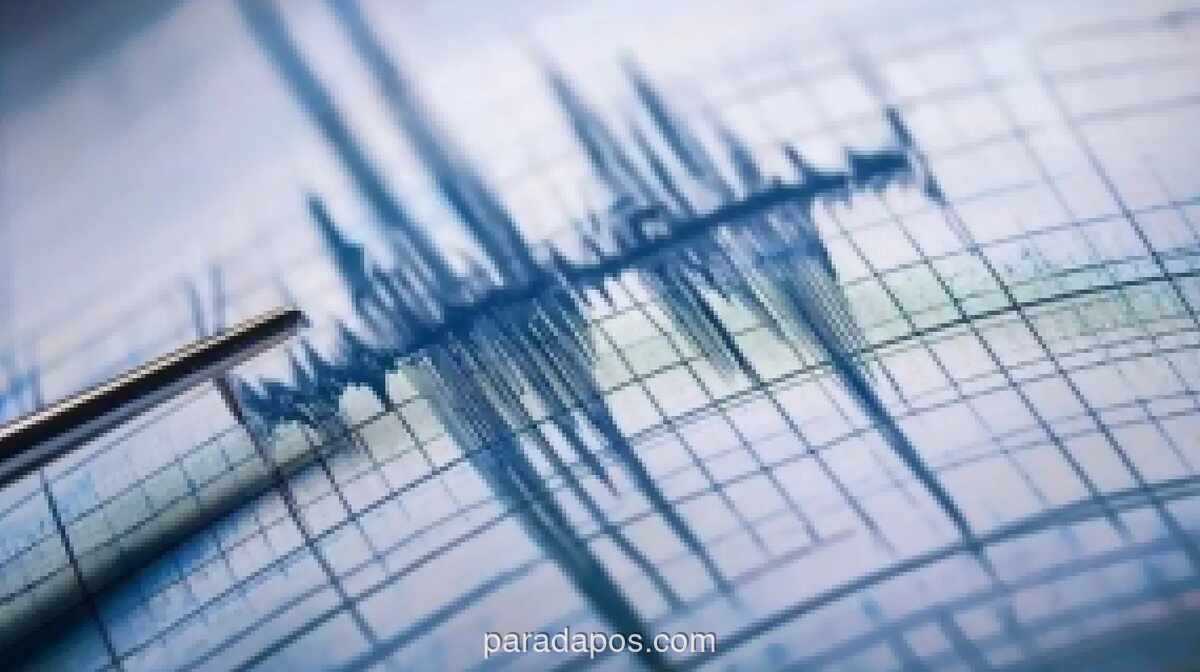 Gempa Magnitudo 3,3 Guncang Bitung Dini Hari, Kedalaman Hanya 3 Kilometer