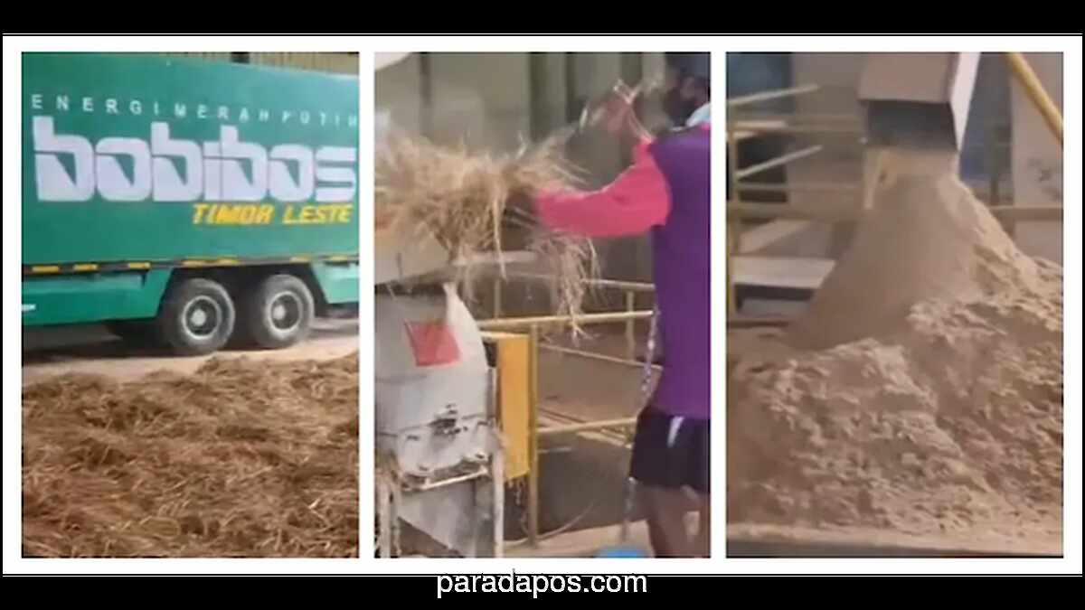 Bobibos, Bahan Bakar Nabati dari Limbah Jerami, Diklaim Setara RON 98 dan Dijual Lebih Murah dari Pertalite