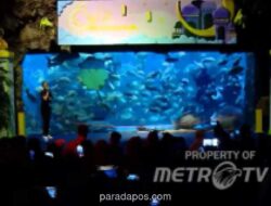 Libur Panjang Paskah, Sea World Ancol Jadi Magnet Wisata Edukatif