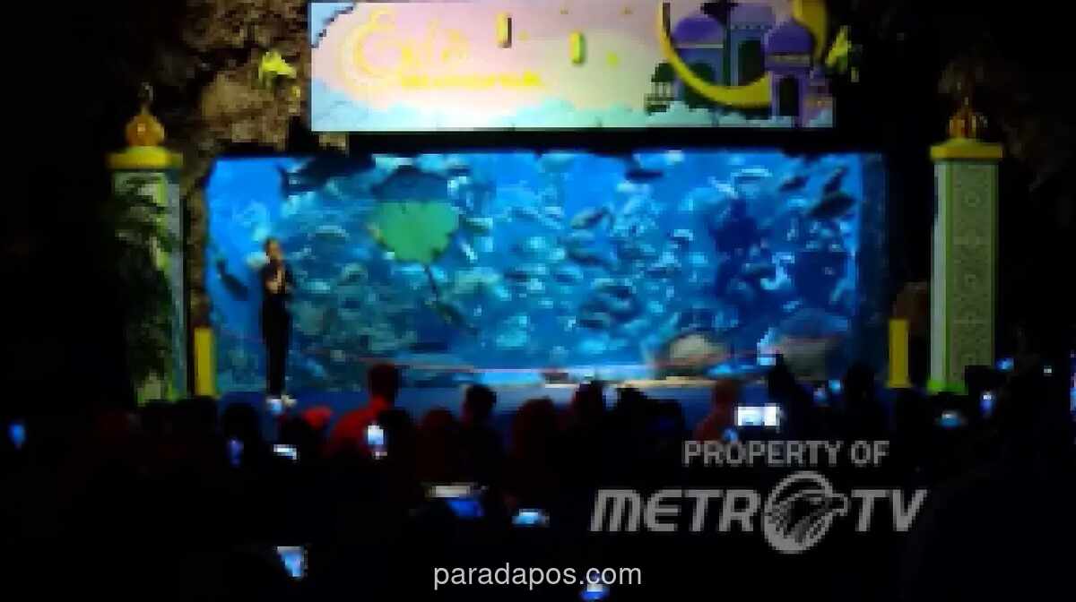 Libur Panjang Paskah, Sea World Ancol Jadi Magnet Wisata Edukatif