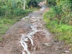 Akses Jalan di Merangin Lumpuh Akibat Longsor, Warga Gotong Royong Buka Jalur Manual