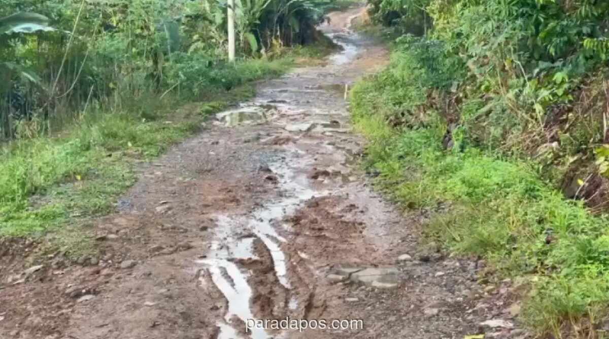 Akses Jalan di Merangin Lumpuh Akibat Longsor, Warga Gotong Royong Buka Jalur Manual