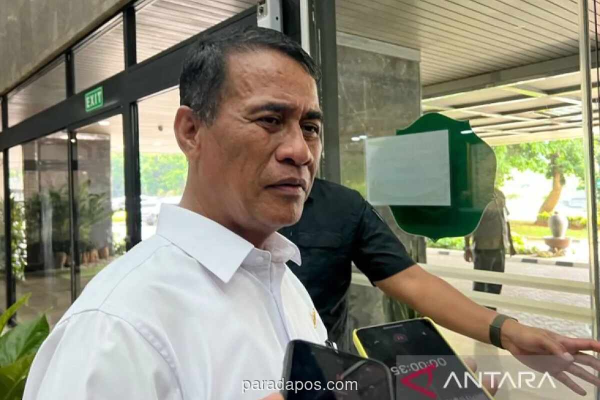 Menteri Pertanian: Stok Beras 5 Juta Ton Jadi Tameng Hadapi El Nino Godzilla