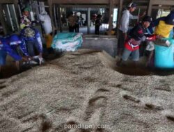 Bulog Rencanakan Pembangunan Gudang Pangan di Arab Saudi, Pengamat Soroti Tantangan