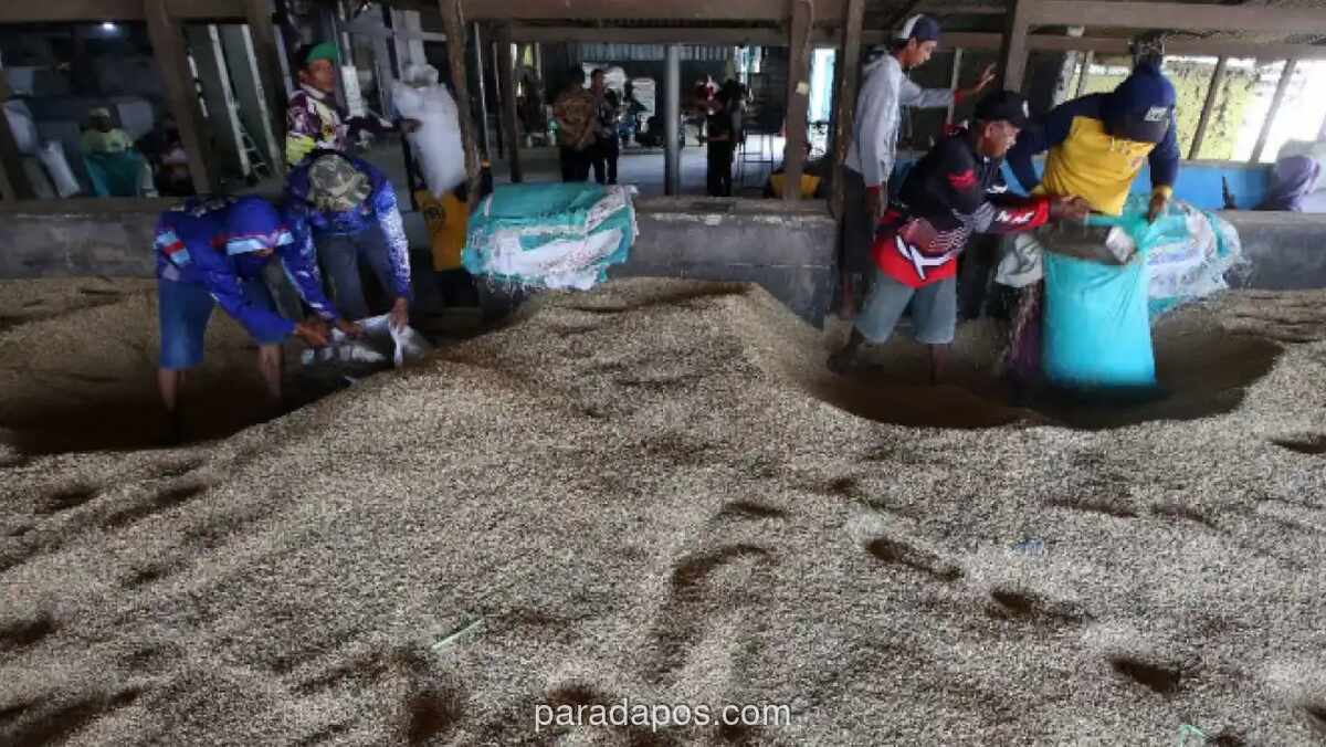 Bulog Rencanakan Pembangunan Gudang Pangan di Arab Saudi, Pengamat Soroti Tantangan