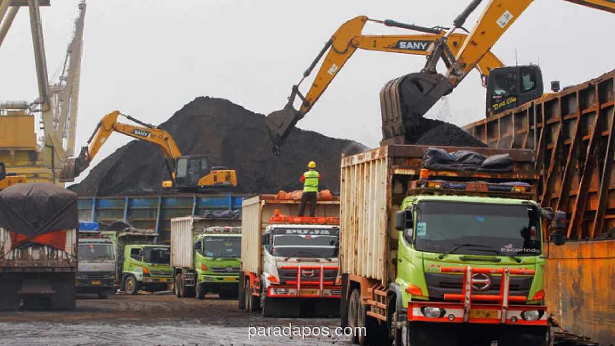 Pertambangan Batu Bara Kaltim Tumbuh 0,45% di Kuartal IV 2025 Meski Dihantam Cuaca Ekstrem