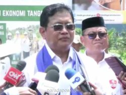 Pemerintah Optimalkan Kawasan Transmigrasi sebagai Lumbung Pangan Nasional