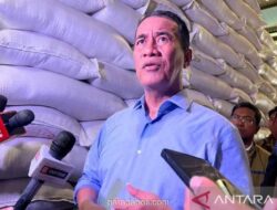 Pemerintah Pertahankan HPP Gabah Rp6.500 per Kg, Cadangan Beras Capai Rekor 4,6 Juta Ton
