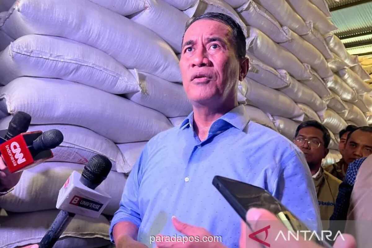 Pemerintah Pertahankan HPP Gabah Rp6.500 per Kg, Cadangan Beras Capai Rekor 4,6 Juta Ton
