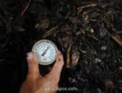 SDN di Jakarta Barat Olah Sampah Organik Jadi Ekoenzim untuk Peringati Hari Bumi