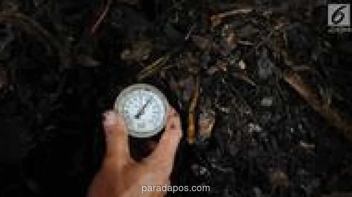 SDN di Jakarta Barat Olah Sampah Organik Jadi Ekoenzim untuk Peringati Hari Bumi