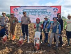 Polisi dan Petani Kembangkan Lahan Jagung 30 Hektare di Banjarbaru