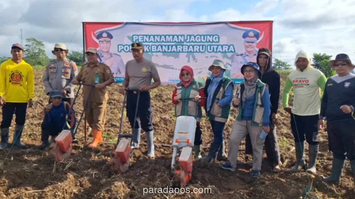 Polisi dan Petani Kembangkan Lahan Jagung 30 Hektare di Banjarbaru