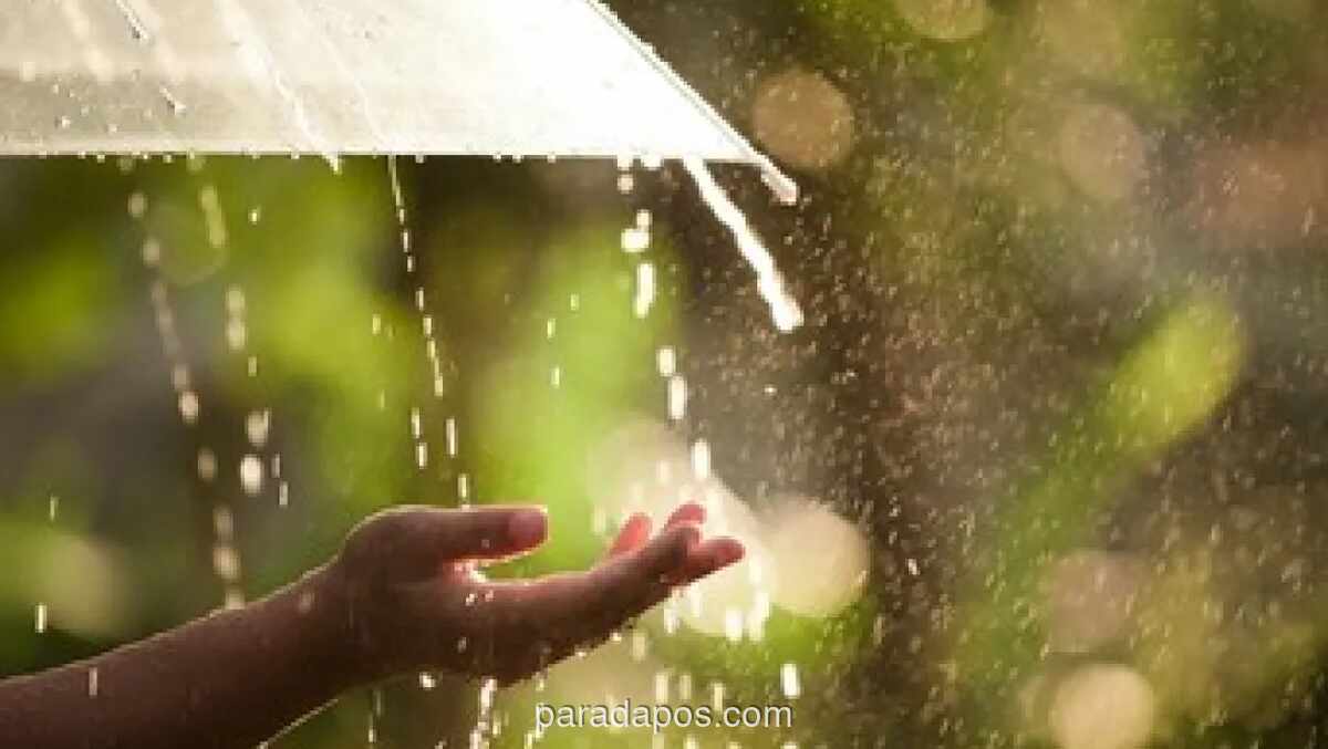 BMKG Imbau Waspada Cuaca Ekstrem Meski Masa Pancaroba Telah Dimulai