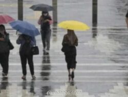 BMKG Prakirakan Hujan Ringan hingga Sedang Guyur Jabodetabek Hari Ini