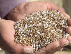 Indonesia Kebanjiran Permintaan Ekspor Pupuk Urea dari India hingga Brasil