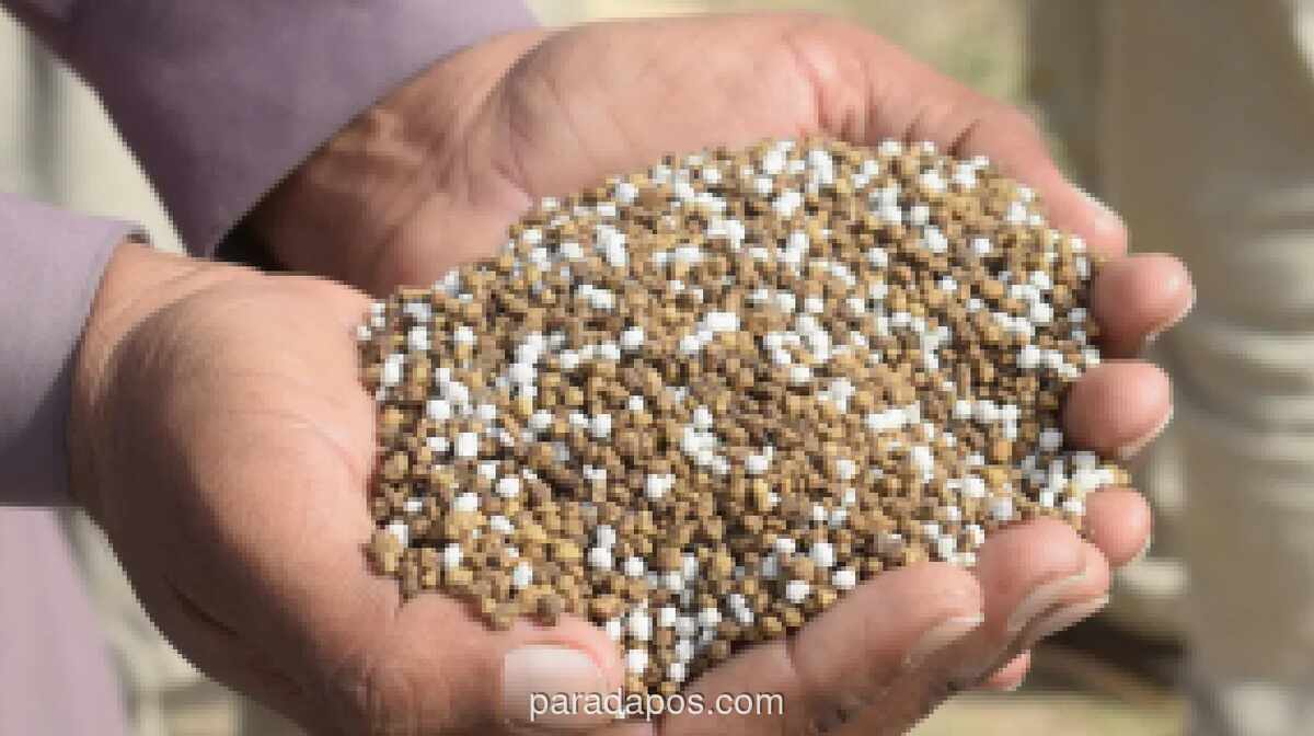 Indonesia Kebanjiran Permintaan Ekspor Pupuk Urea dari India hingga Brasil